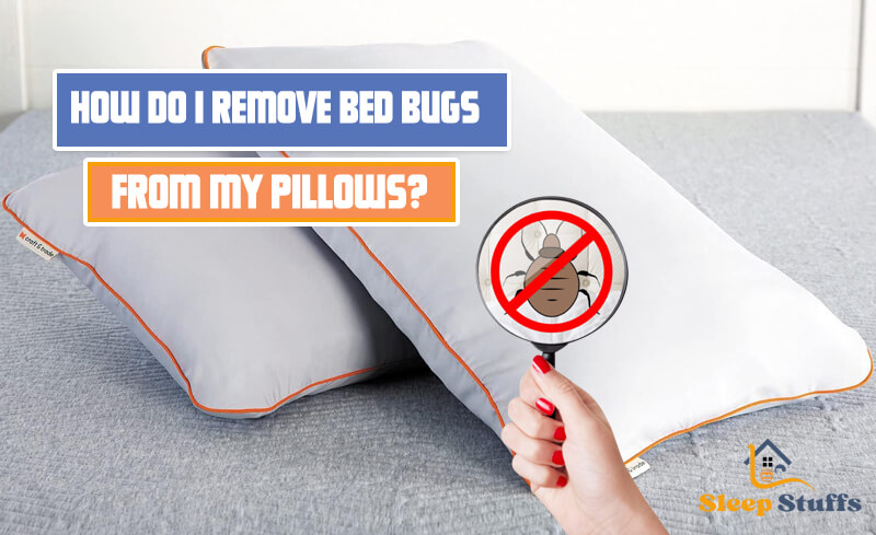 How Do I Remove Bed Bugs from My Pillows