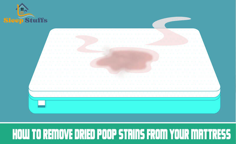 How to Remove Dried Poop Stains from Your Mattress